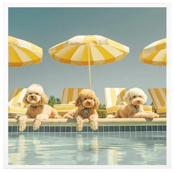 Busters Poodle Wall Art