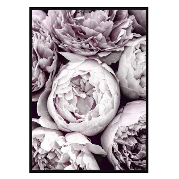 Blush Peonies Wall Art | Attica House Floral Wall Art