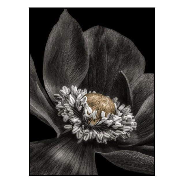 Gold Bud Flower Wall Art