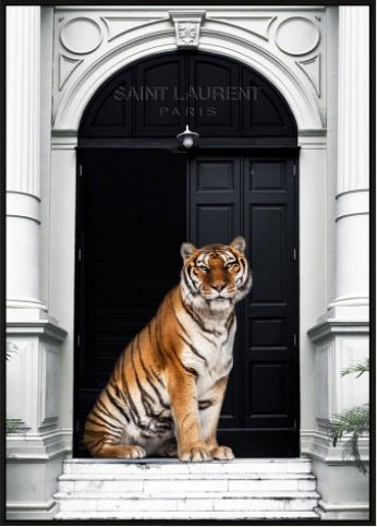 Tiger Fashion Wall Art | Animal Prints